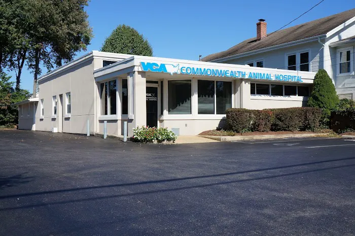 VCA Commonwealth Animal Hospital 1