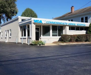 VCA Commonwealth Animal Hospital