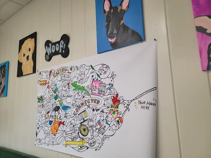 VCA Commonwealth Animal Hospital 7