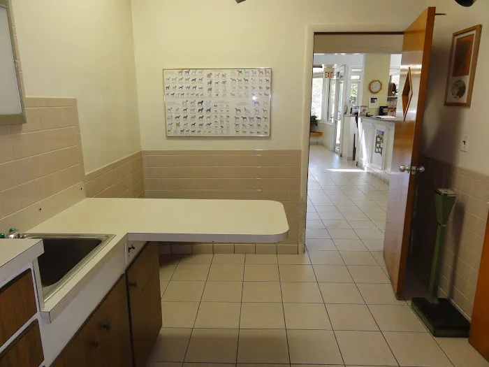 VCA Commonwealth Animal Hospital 3