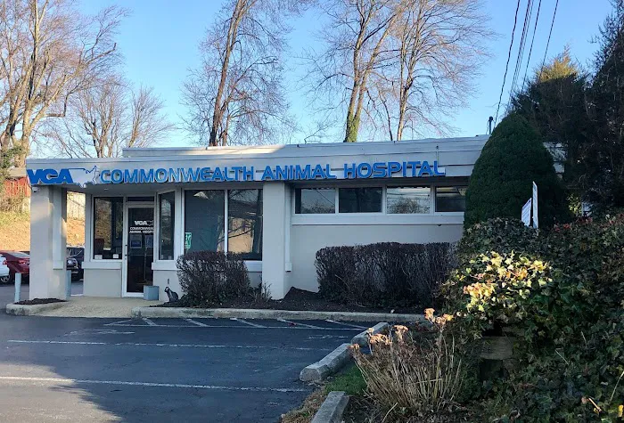 VCA Commonwealth Animal Hospital 9