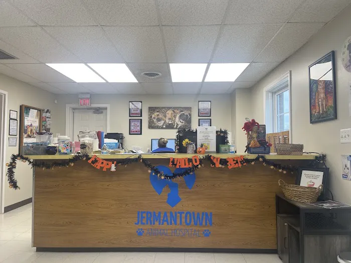 Jermantown Animal Hospital 3