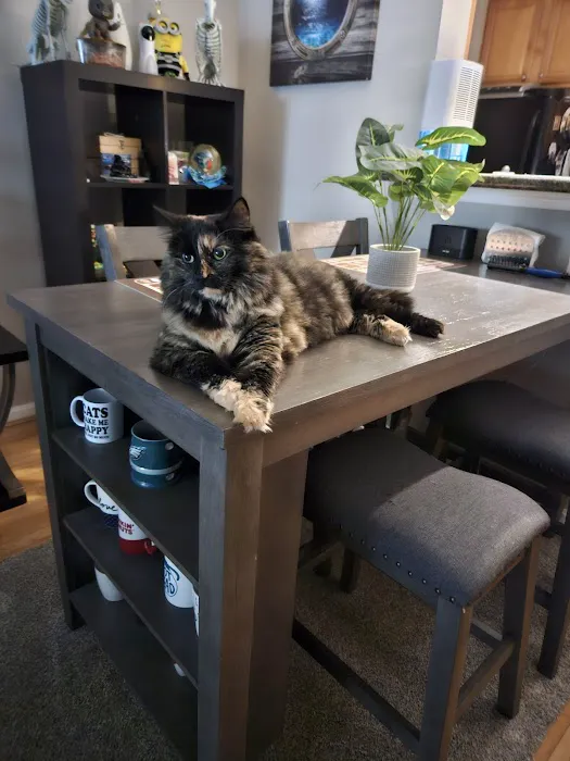 Jermantown Animal Hospital 5