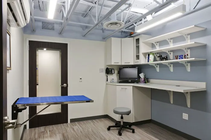 Veterinary Surgical Centers 5