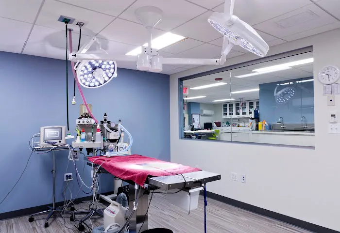 Veterinary Surgical Centers 9