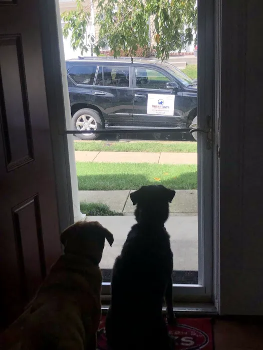 Great Paws Veterinary Hospital 1