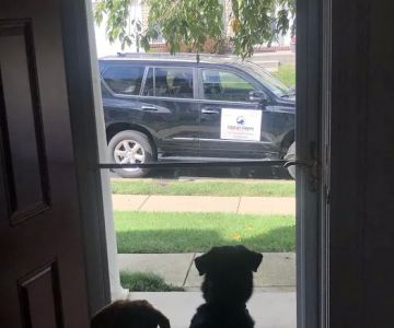 Great Paws Veterinary Hospital