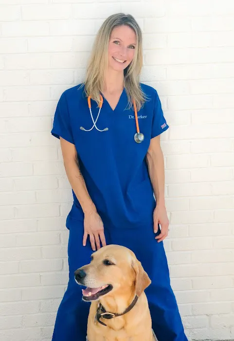 Great Paws Veterinary Hospital 9