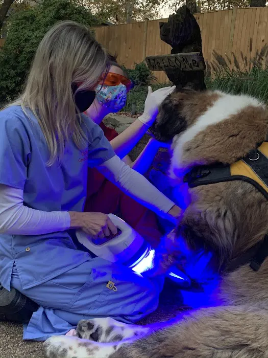 Great Paws Veterinary Hospital 4