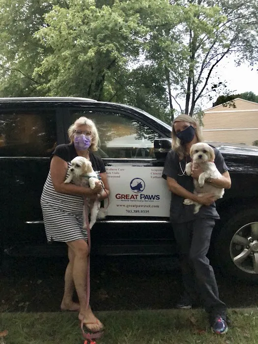 Great Paws Veterinary Hospital 3