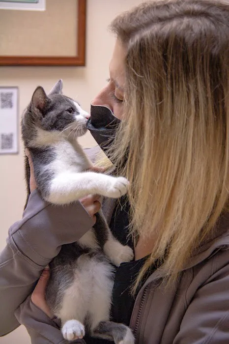 Alpha Animal Hospital 12