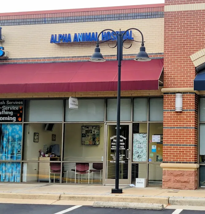 Alpha Animal Hospital 12