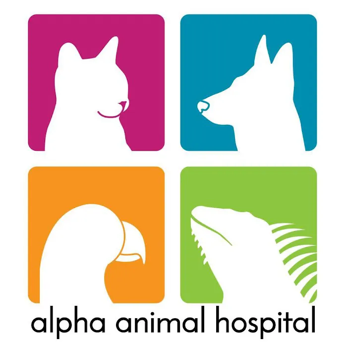 Alpha Animal Hospital 12
