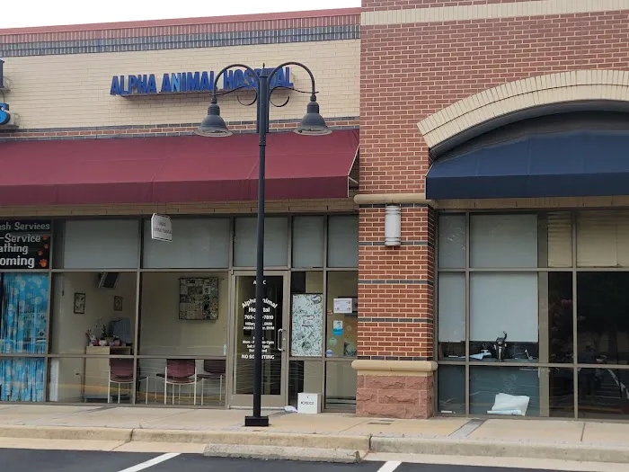Alpha Animal Hospital 12