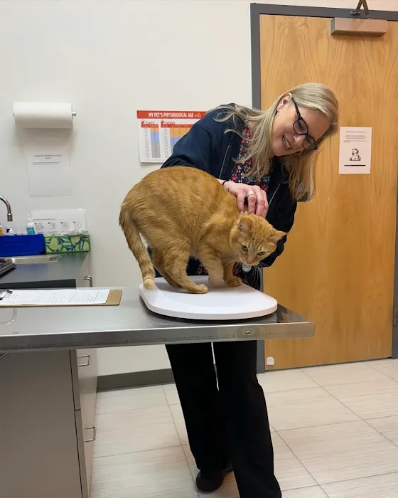 Fairfax Ridge Animal Hospital 4
