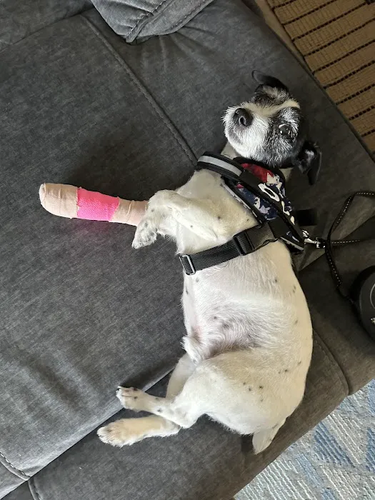 Fairfax Ridge Animal Hospital 7