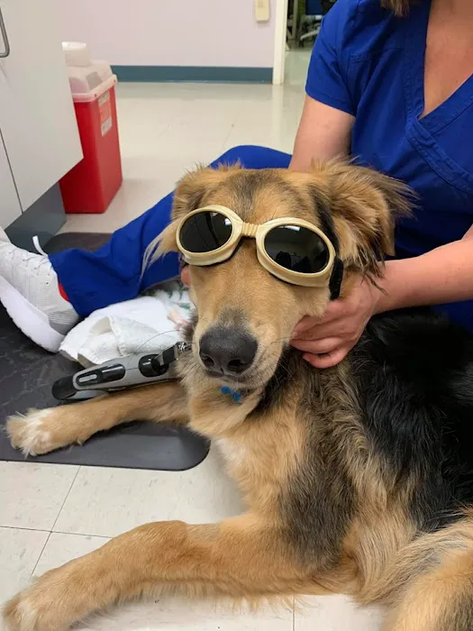 Franklin Farm Veterinary Clinic 12