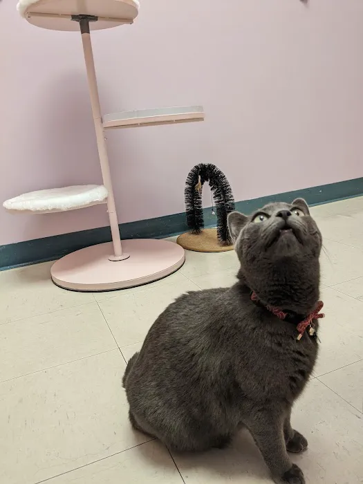 Franklin Farm Veterinary Clinic 12
