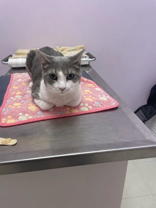Franklin Farm Veterinary Clinic 12