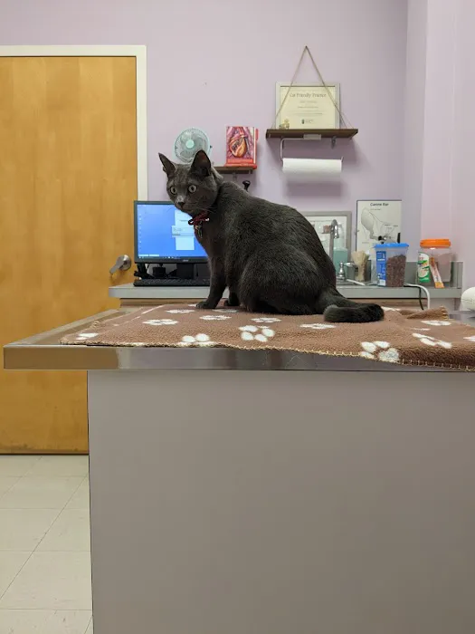 Franklin Farm Veterinary Clinic 12