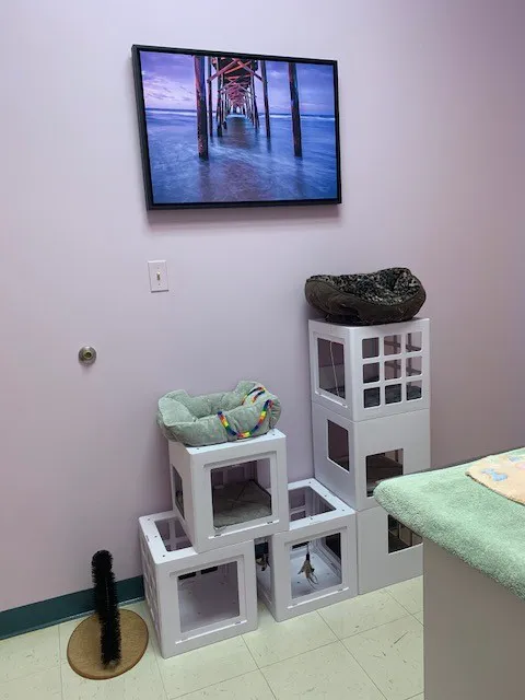 Franklin Farm Veterinary Clinic 12