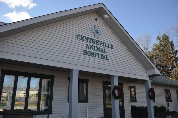 VCA Centreville Animal Hospital 12
