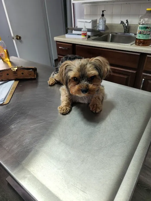 Forestville Veterinary And Bird Hospital 12
