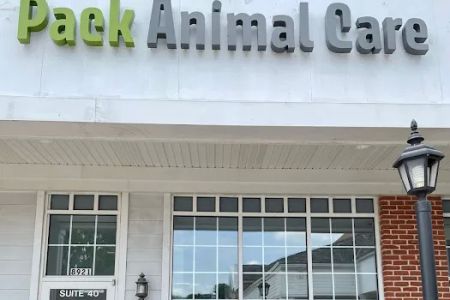 Pack Animal Care
