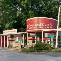 Dogs and Cats Emergency & Specialty ico
