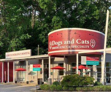 Dogs and Cats Emergency & Specialty