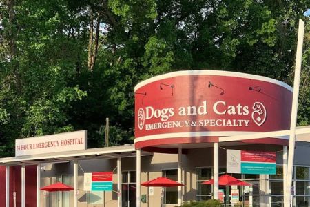Dogs and Cats Emergency & Specialty