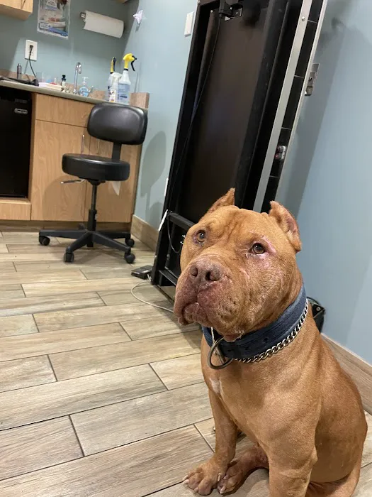 Fairland Animal Hospital 2