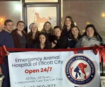 Emergency Animal Hospital of Ellicott City