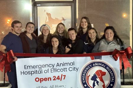 Emergency Animal Hospital of Ellicott City