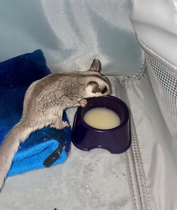 Emergency Animal Hospital of Ellicott City 12