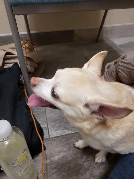 Chesapeake Veterinary Referral Center - Columbia 3