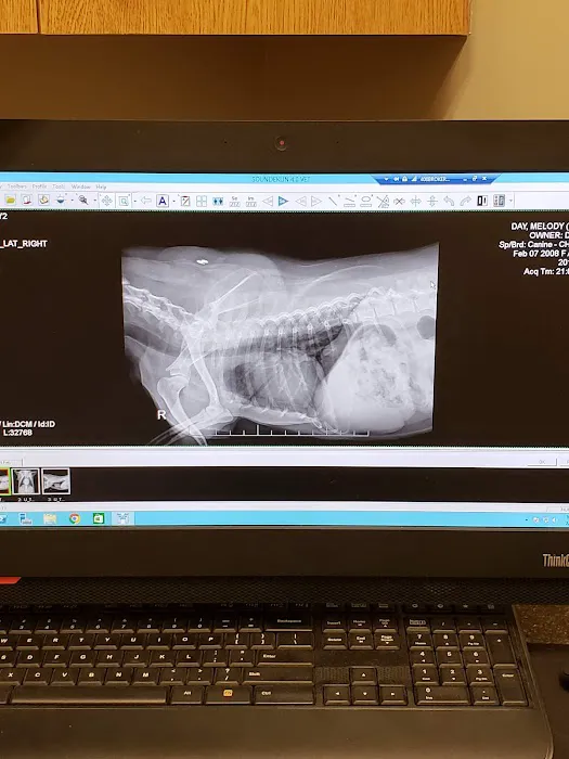 Chesapeake Veterinary Referral Center - Columbia 2