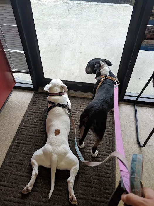 Fulton Animal Hospital 12