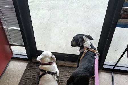 Fulton Animal Hospital