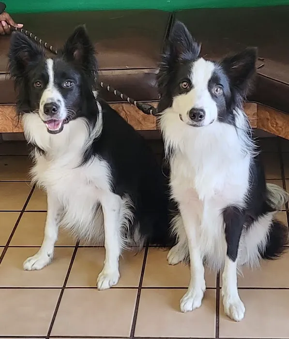 Brenner Animal Hospital 5