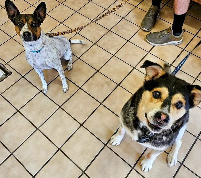 Brenner Animal Hospital 10