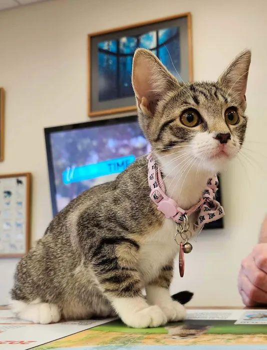 Brenner Animal Hospital 4