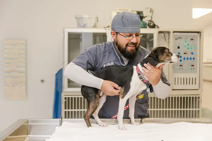 Negola's Animal Care 12