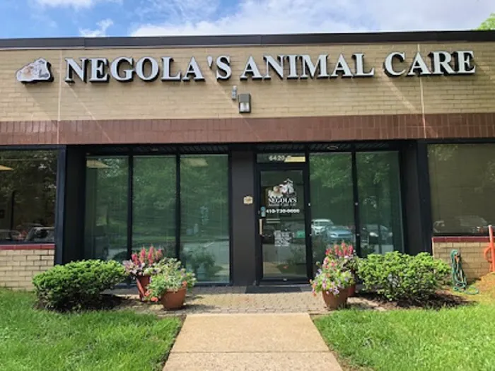 Negola's Animal Care 12