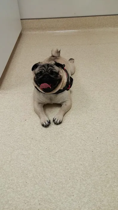 Fort Meade Veterinary Treatment Facility 2