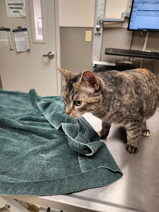 Fort Meade Veterinary Treatment Facility 9