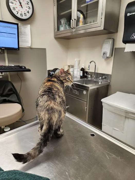 Fort Meade Veterinary Treatment Facility 10