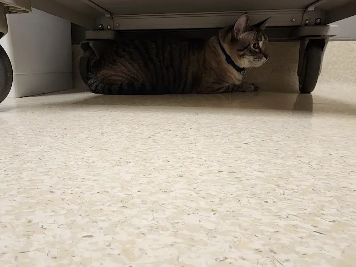 Fort Meade Veterinary Treatment Facility 5