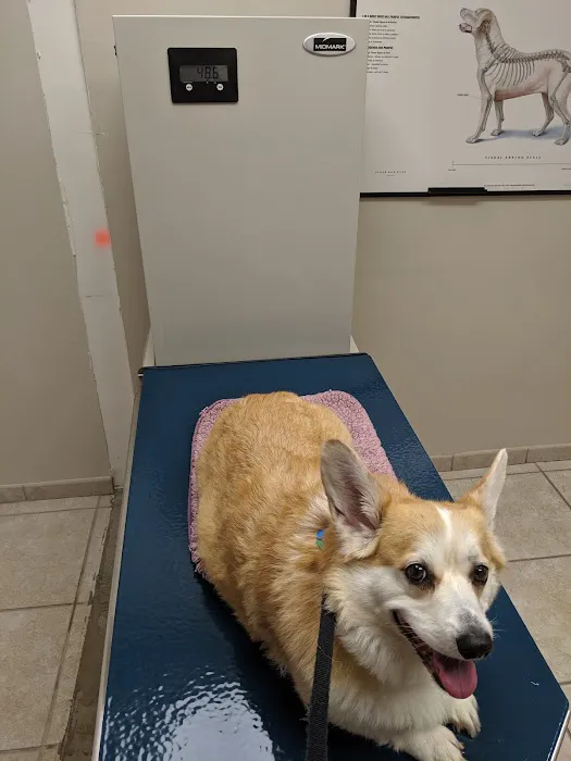 Cat & Dog Hospital of Columbia 12