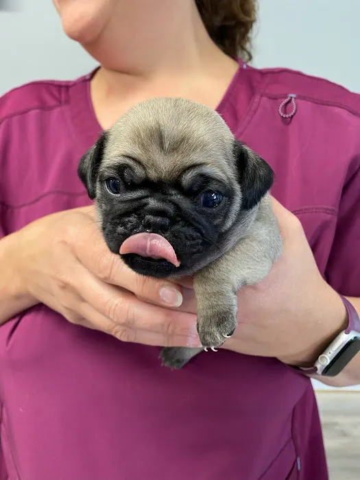 Highland Veterinary Hospital 12